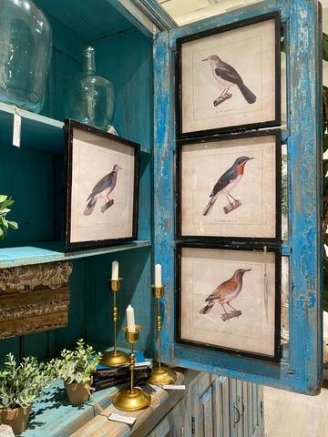 Herrington Hills Bird Framed Bird Print - 4 Styles