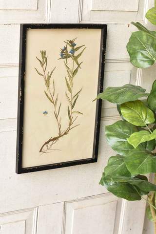 Headley Garden Botanical No. 1