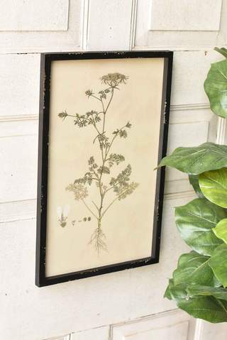 Headley Garden Botanical No. 2