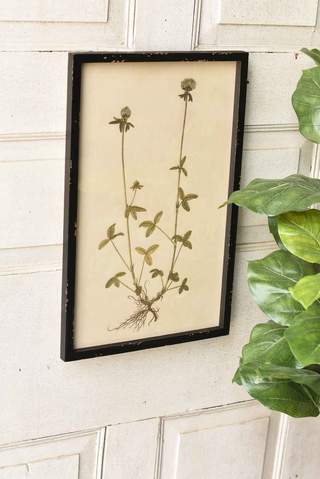 Headley Garden Botanical No. 3
