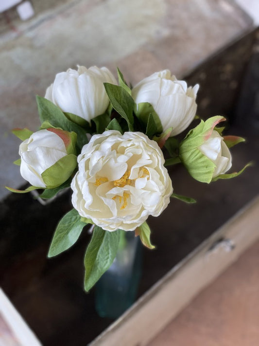 Peony Bundle - White