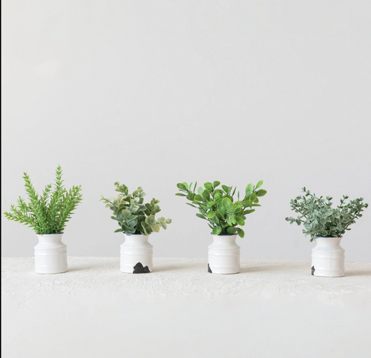 Mini Plants in Distressed Pot