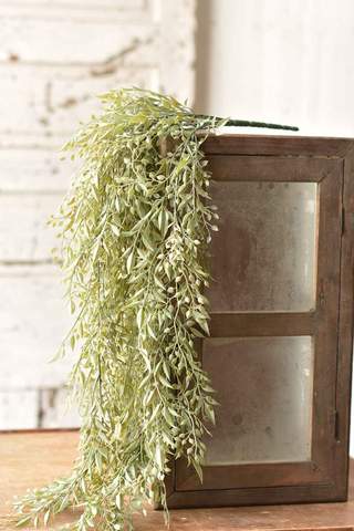 Mixed Sage Hanging