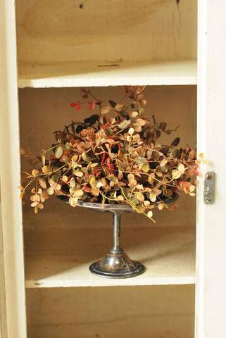 Bog Pimpernel Half Sphere - Red