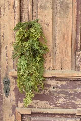 Sticky Cedar Hanging Stem