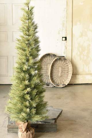 6' Pine Tree
