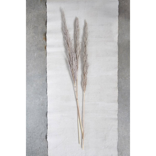 Dried Pampas Grass