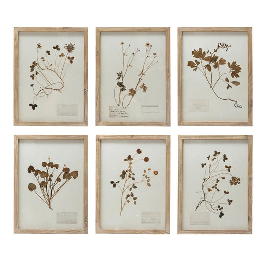 Wall Art Botanical Print