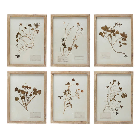 Wall Art Botanical Print