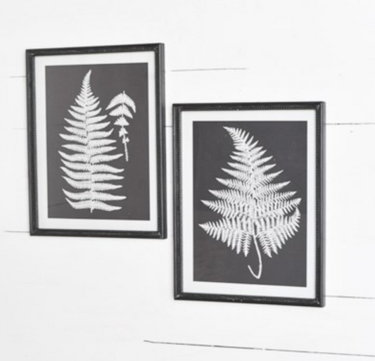 Black and White Fern Print - 2 Styles