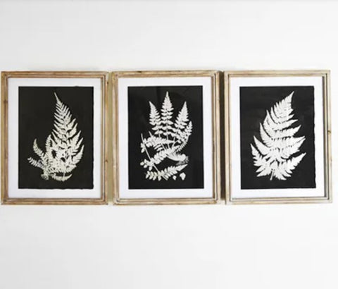 Black and White Framed Fern Print- 3 Styles