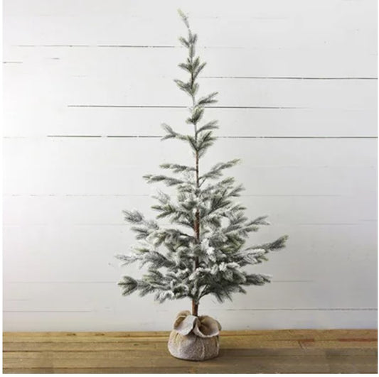 59" Tall Tree in Burlap