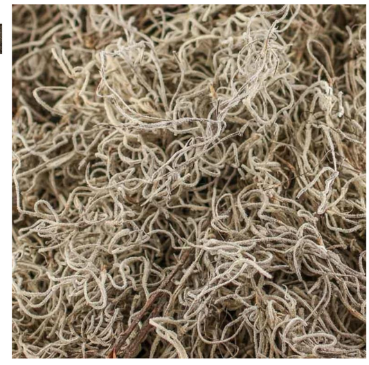 Box of Spanish Moss